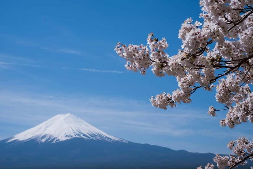 1-Day Mt Fuji and Hakone Sightseeing trip from Tokyo - Chureito Pagoda: the photo stop with real walking time