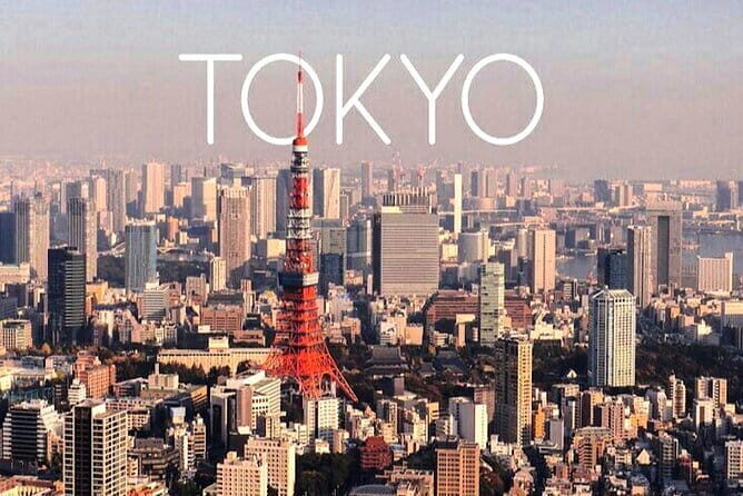 2 Days Tokyo ,Mount Fuji / Hakone Private Tour from Tokyo - Lake Ashinoko and the Hakone View Circuit
