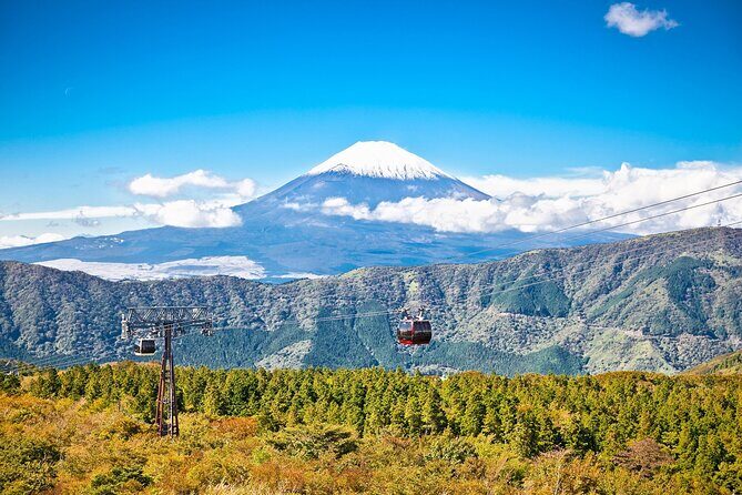 Best Mt Fuji and Hakone Full-Day Bus Tour from Tokyo - Morning: Nishishinjuku meeting and the Mt. Fuji 5th Station window