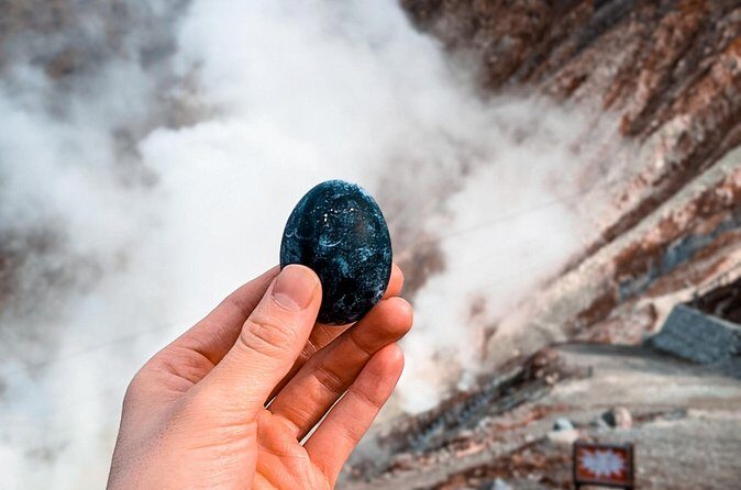 Customizable Private Full Day Hakone Tour by car - Ropeway to Owakudani: volcanic activity and black eggs