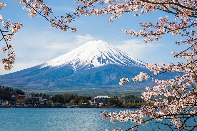 Day Trip To Mount Fuji and Hakone from Tokyo with English Guide - Key highlights worth planning for