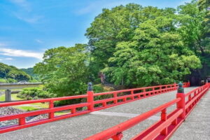 Do You Want to Try Skywalk? A New Way of Enjoying Hakone! - Private Guide + Translation: The Quiet Upgrade You’ll Feel