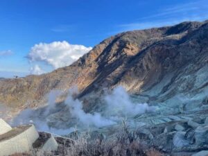 From Tokyo: Hakone Full Day Customizable Private Tour - Price and Logistics: What $325 Per Group Buys You