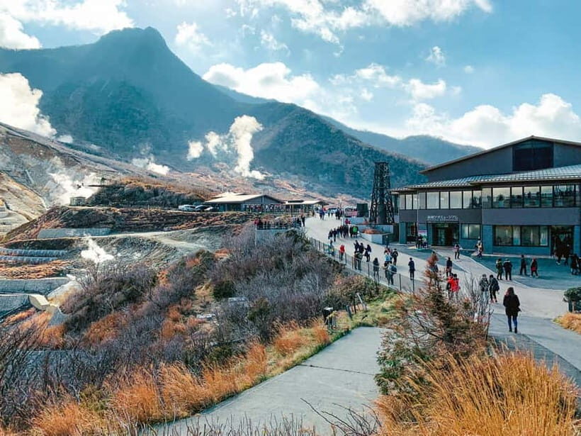 From Tokyo: Mount Fuji Full Day Customizable Private Tour - Key points worth knowing before you go