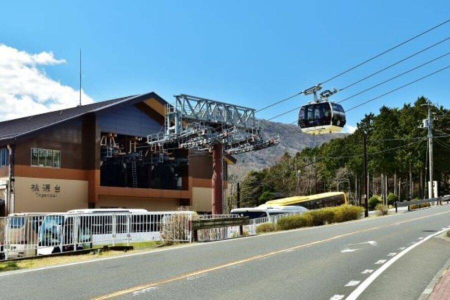 From Tokyo: Mt. Fuji & Hakone Tour w/ Return by Bullet Train - Lunch: hot pot + half buffet, and how to handle food preferences