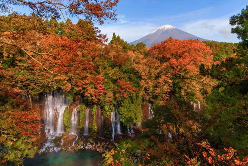 From Tokyo: Private JDM/Sports Car Tour to Mt Fuji & Hakone - Tenzan Onsen Lunch and Free Time: The Part That Makes It Feel Like Japan