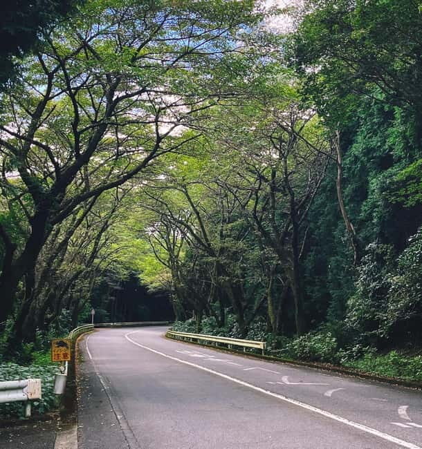 From Tokyo: Private JDM/Sports Car Tour to Mt Fuji & Hakone - Shakushi Pass and a Secret Stop: Why the Route Feels Intentional