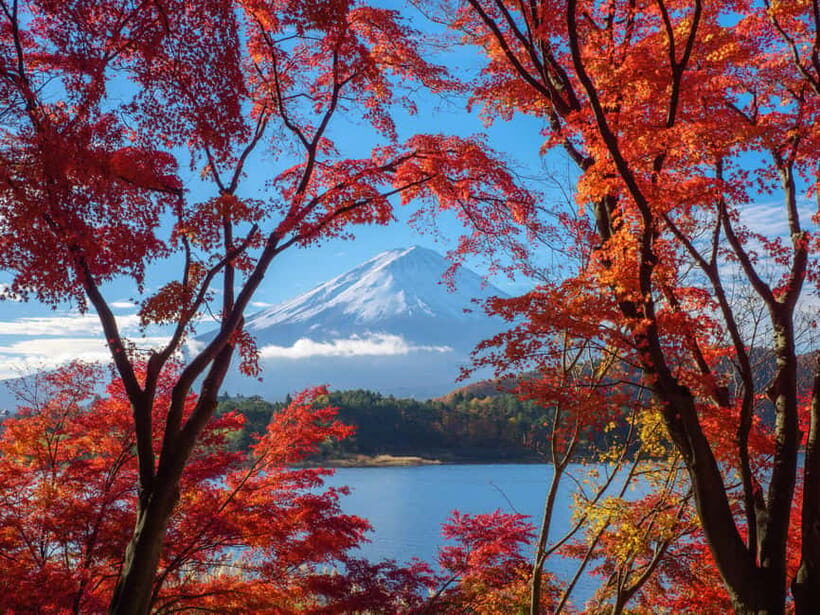 From Tokyo: Private Motorcycle Tour - Fuji, Hakone, Onsen - Tenzan Onsen: lunch, soak time, and the tattoo-friendly factor