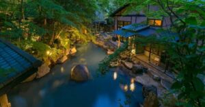 From Tokyo: Private Tour to Fuji/Hakone - Onsen, Art, Nature - Price and value: what you’re really paying for