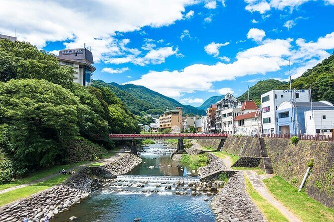 Hakone 6 hour Private Tour with Government-Licensed Guide - Lake Ashinoko: Hakone’s iconic view stop (and a free one)
