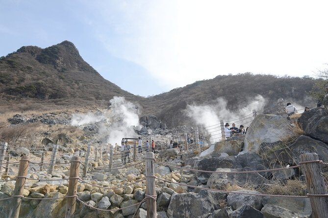 Hakone 8 hour Private Tour with Government-Licensed Guide - Price and Logistics: What You’re Really Paying For at $201.46