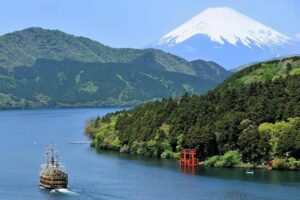 Hakone 8 hour Private Tour with Government-Licensed Guide - Choosing Your 4 to 5 Stops: Build a Day That Matches Your Interests