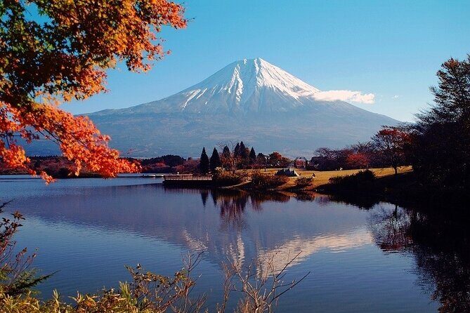 Hakone 8 hour Private Tour with Government-Licensed Guide - Ropeway Connections and Fuji Timing: When Elevation Helps