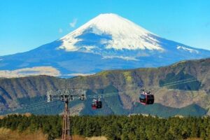Hakone Full-Day Private Tour By Public Transportation - Morning logistics: pickup, 8:00 start, and staying sane on transit