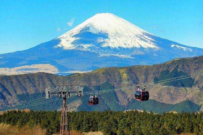 Hakone Full-Day Private Tour By Public Transportation - Morning logistics: pickup, 8:00 start, and staying sane on transit