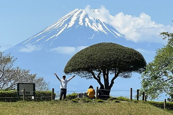 Hike Hakone Hachiri - Stop 3: Cedar Avenue (Hakone Old Road) and why Tokugawa Hidetada planted trees