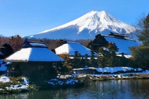 Mount Fuji and Hakone Private Tour from Tokyo (Customizable) - Morning viewpoint power: Chureito Pagoda and Fuji Sengen Shrine