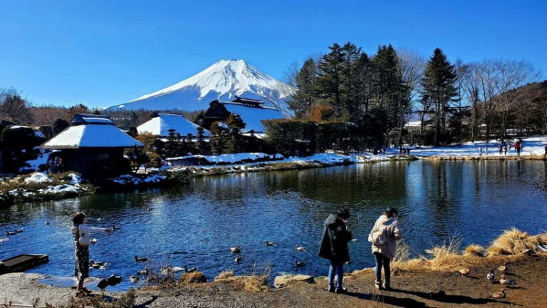 Mount Fuji & Hakone Full-Day Private Tour (Customizable) - Starting With Chureito Pagoda: Fuji’s Red-Tier Photo Moment