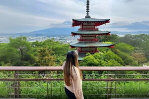 Mt fuji & Hakone customizable day tour w/ English speaking driver - Price and what your money is really buying