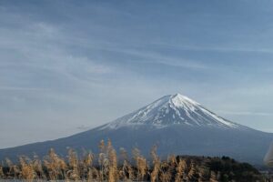 One day mountain Fuji & Hakone tour with English hindi bilingual - Starting with pickup and a guide who handles the day