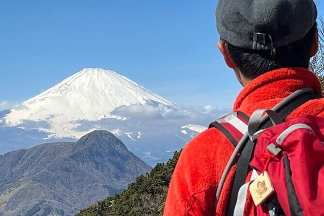 Private Hakone Half-day Car Tour with Hotel Pickup - Local Guide - Weather and Mount Fuji Reality: Plan Smart, Not Perfect