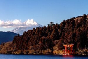 Private Hakone Tour - View of Mt. Fuji, Nature and Culture - Meet-Up Timing and Getting to the Train Without Headaches