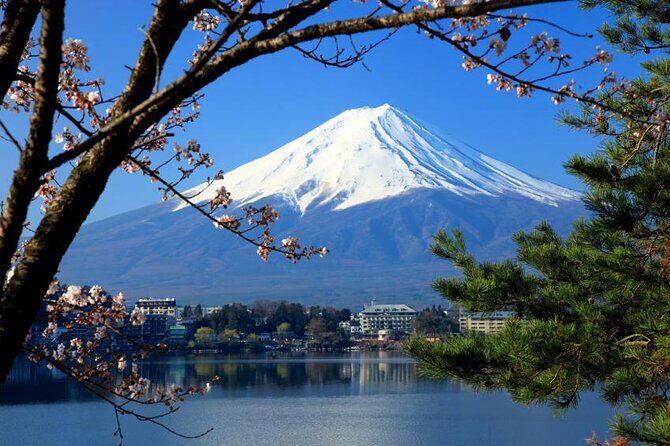 Private Mt Fuji, Hakone and Tokyo Tour - English Speaking Driver - Key points that matter before you book