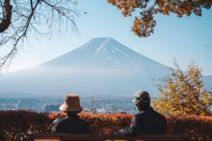 Private Mt Fuji, Hakone and Tokyo Tour - English Speaking Driver - Pickup, Shinjuku start time, and how the day really feels