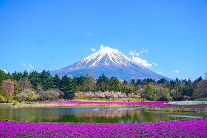 Private Sightseeing to Mt Fuji and Hakone with English Driver - Chureito Pagoda and Its 400 Stairs of Fuji Views