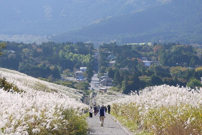 Private Tour - Hakone Day Trip! A Tour to Explore All Must-Sees! - Hakone Ropeway to Owakudani: The Moment the Steam Hits