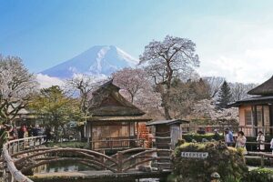 Private tour to Mount Fuji and Hakone from Tokyo - Your real decision: Fuji-first (6 stops) or Hakone-last (5 stops)
