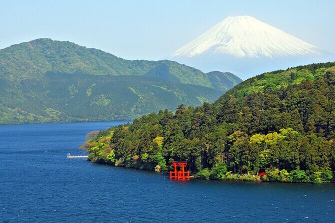 Private tour to Mount Fuji and Hakone from Tokyo - Kitaguchi Hongu Fuji Sengen Jinja: cedar shade and pilgrimage context