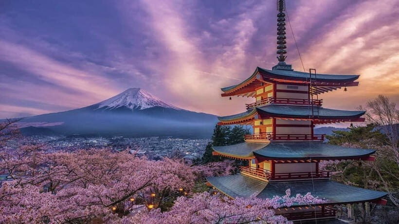 Tokyo: Mount Fuji & Hakone Private Tour with Guide - Entering the Fuji-Hakone Day: How a Private Route Changes Everything